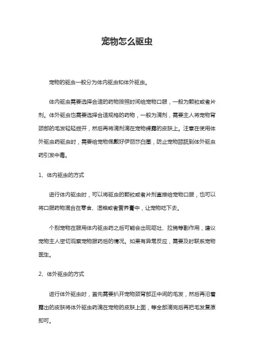 宠物怎么驱虫