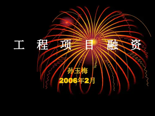 《项目融资概述》幻灯片PPT