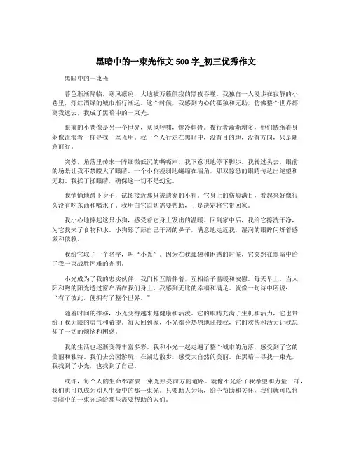 黑暗中的一束光作文500字_初三优秀作文