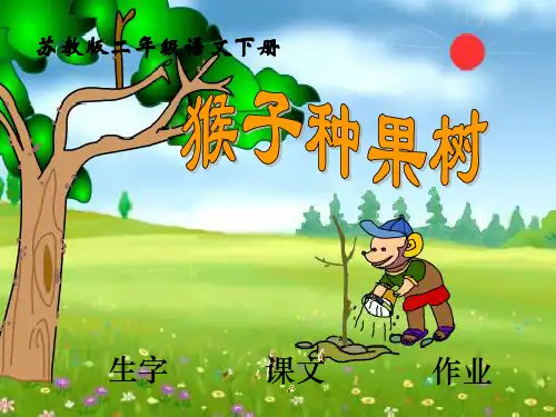 苏教版二年级语文下册《猴子种果树》PPT课件(4篇)
