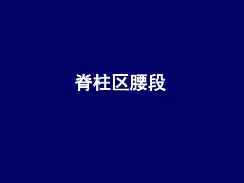 人体断层解剖学脊柱区腰段解剖精品PPT课件