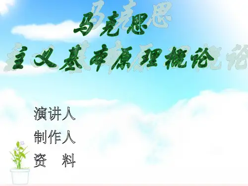 马克思主义基本原理概论第三章ppt