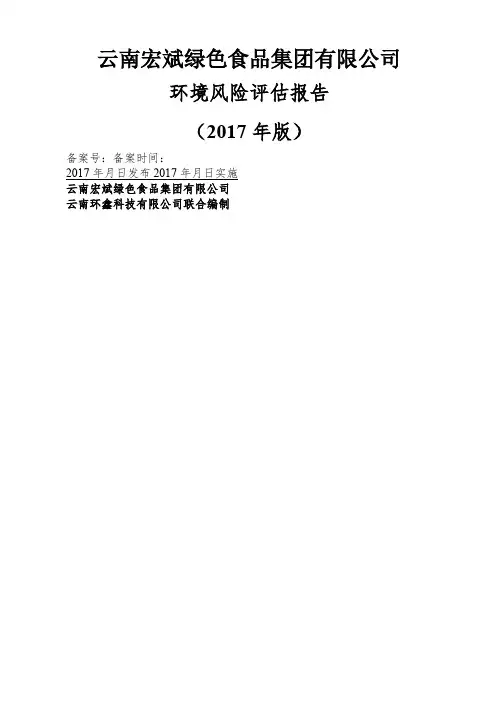 环境风险评估报告