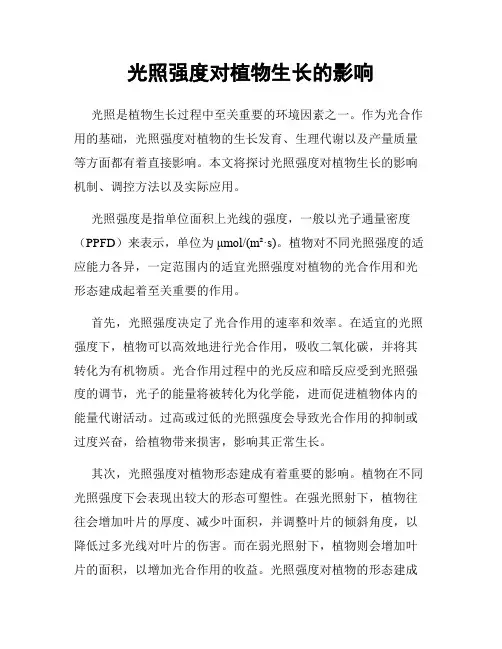 光照强度对植物生长的影响