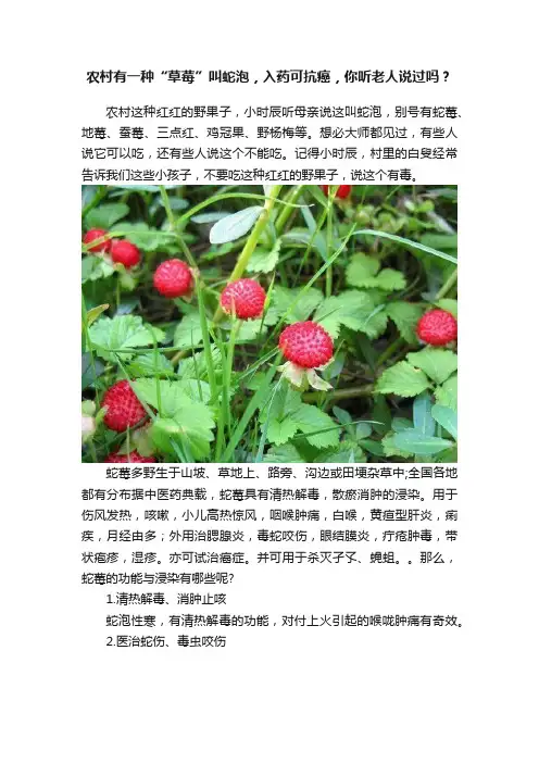 农村有一种“草莓”叫蛇泡，入药可抗癌，你听老人说过吗？