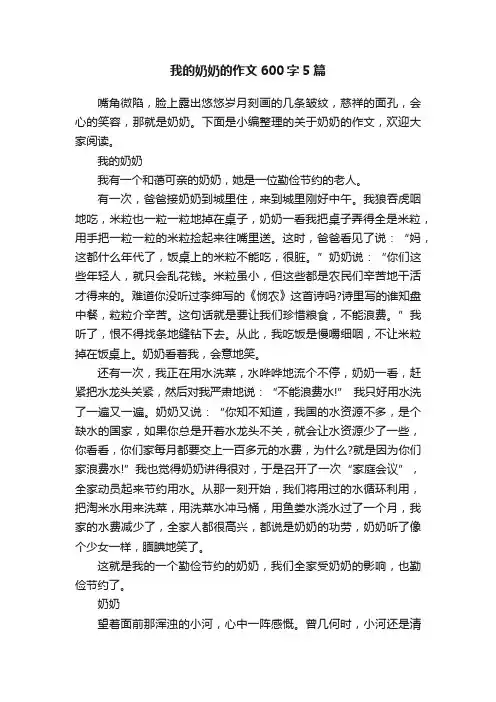 我的奶奶的作文600字5篇