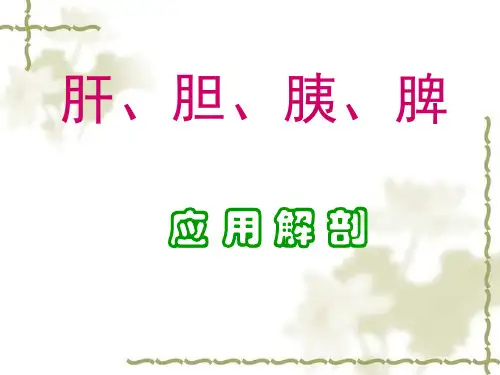 肝胆胰脾