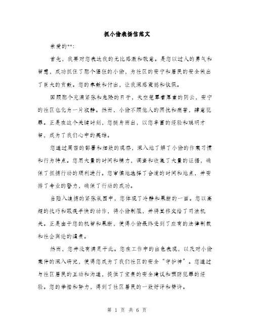 抓小偷表扬信范文