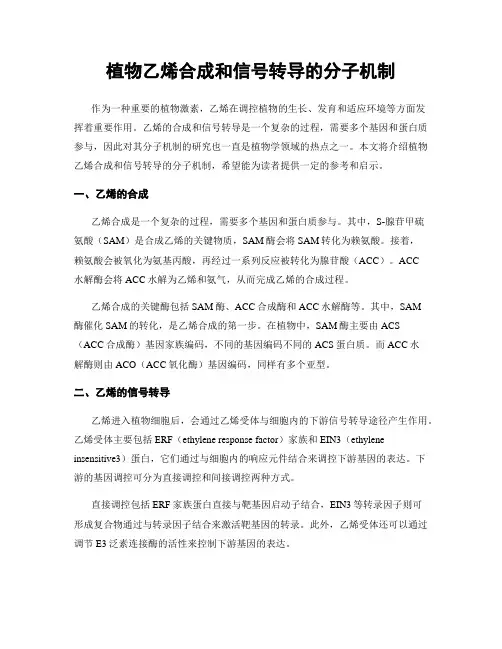 植物乙烯合成和信号转导的分子机制