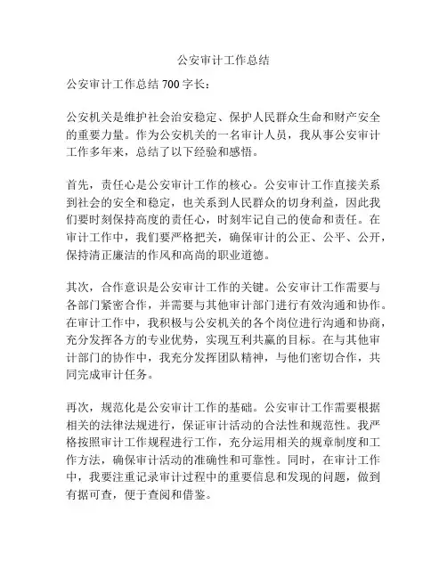 公安审计工作总结
