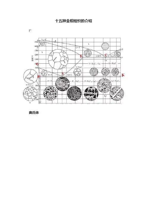 十五种金相组织的介绍