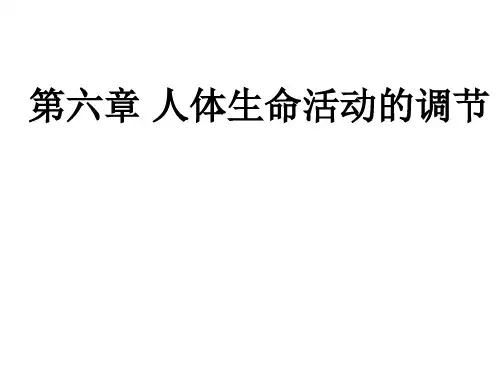 湖南省张家界市桑植县七年级生物下册第四单元第六章第一节人体对外界环境的感知课件(新版)新人教版