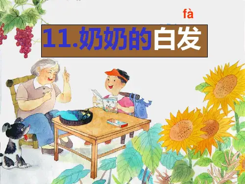 奶奶的白发课件 