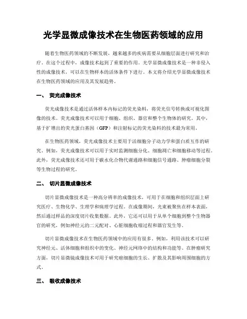 光学显微成像技术在生物医药领域的应用