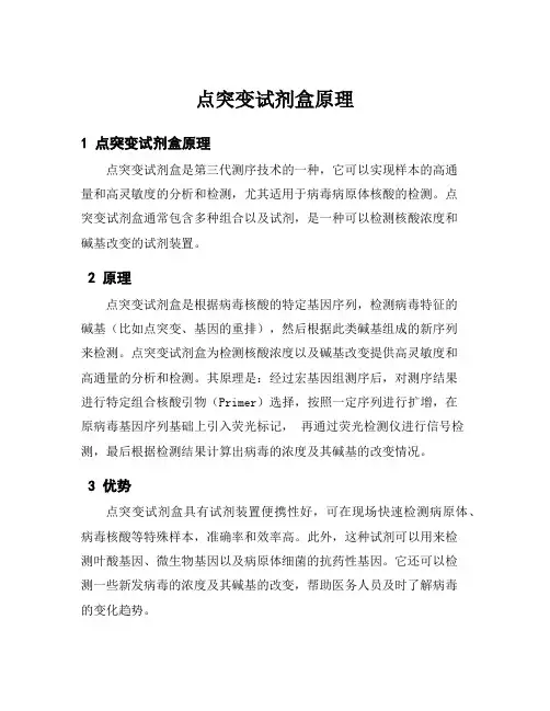 点突变试剂盒原理