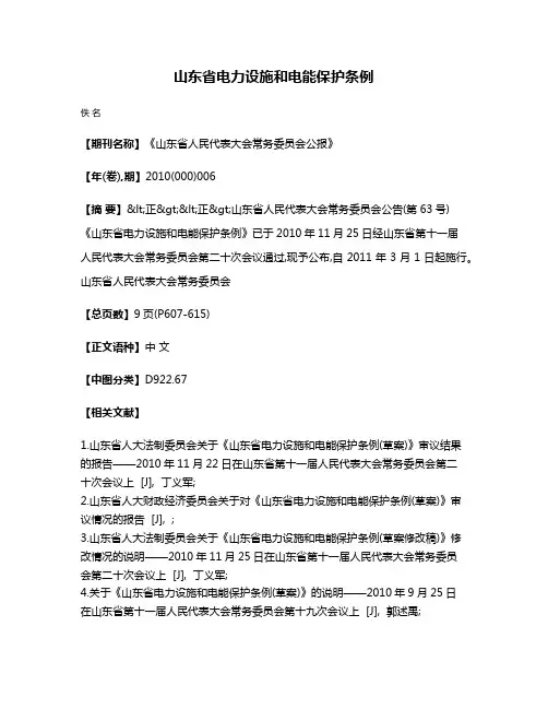山东省电力设施和电能保护条例