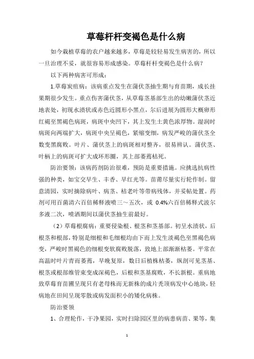 草莓杆杆变褐色是什么病
