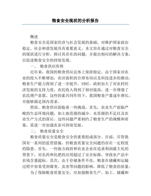 粮食安全现状的分析报告