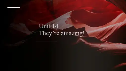 Unit14They'reamazing(课件)新概念英语青少版StarterB2