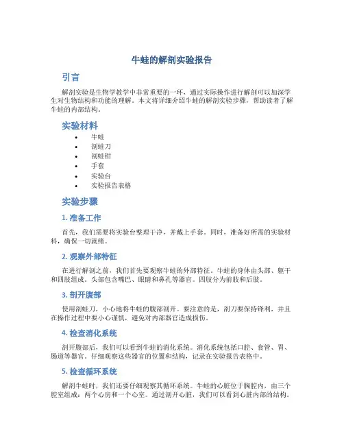 牛蛙的解剖实验报告