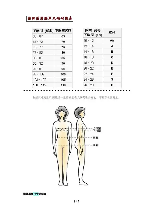 国际通用胸罩尺码对照表-与其他