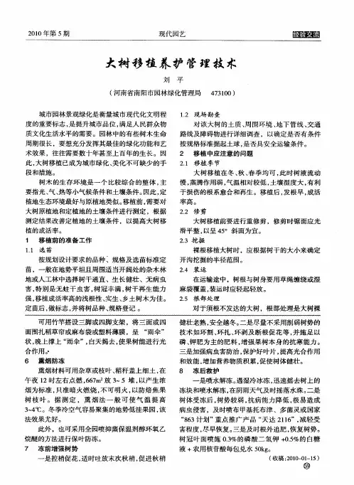 大树移植养护管理技术