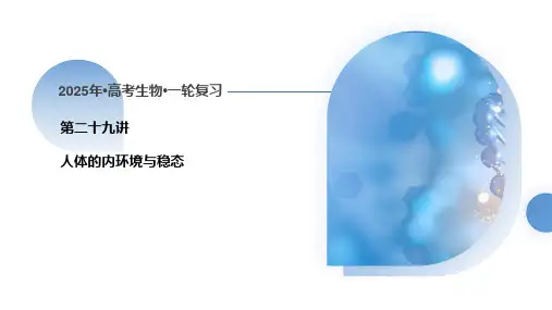 高三生物一轮复习课件第29讲 人体的内环境与稳态