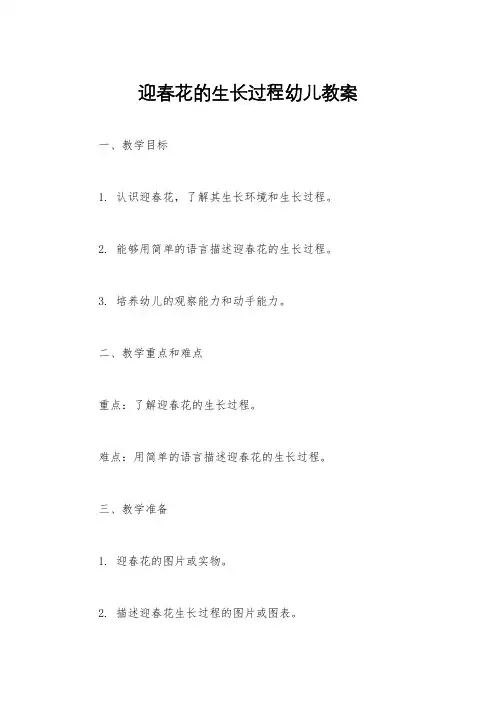 迎春花的生长过程幼儿教案