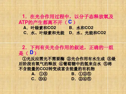 新人教版生物必修一第五章光合作用与呼吸作用练习题
