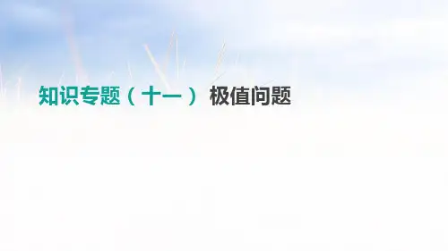知识专题11 极值问题