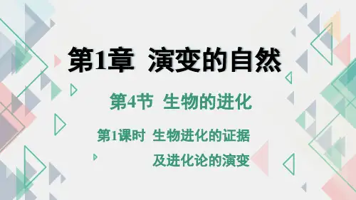 1.4生物的进化(第1课时PPT课件(初中科学)23张)
