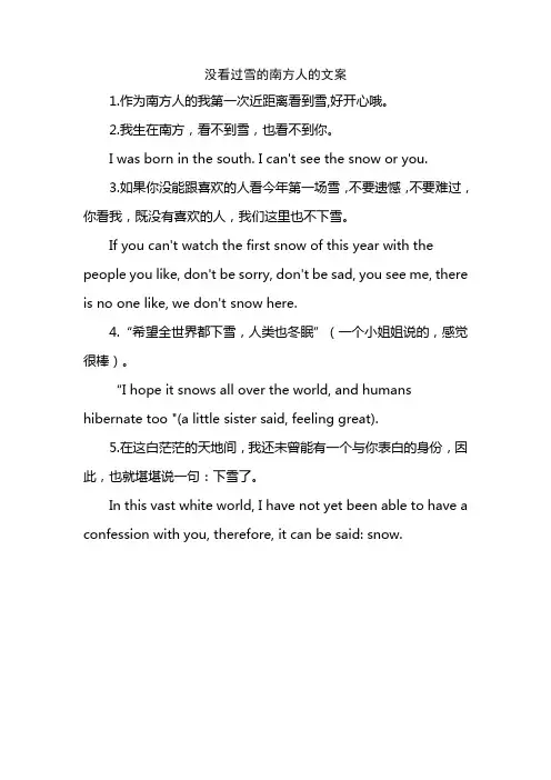 没看过雪的南方人的文案