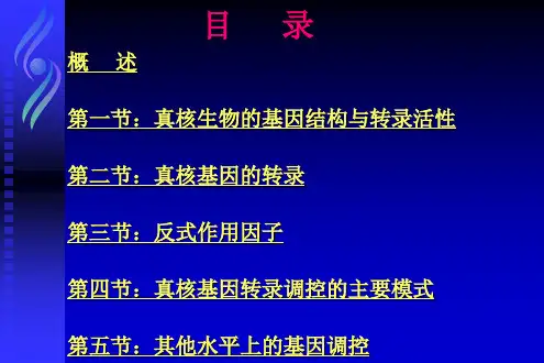 真核生物DNA水平上的基因表达调控
