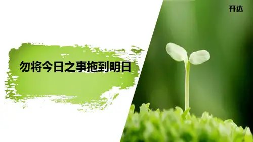 种子的梦