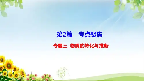 九年级化学复习专题三 物质的转化与推断