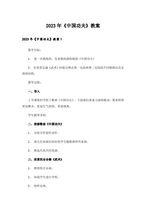 2023年《中国功夫》教案
