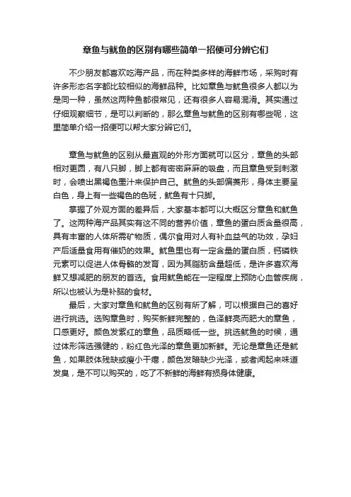 章鱼与鱿鱼的区别有哪些简单一招便可分辨它们