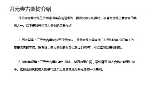 开元寺古桑树介绍