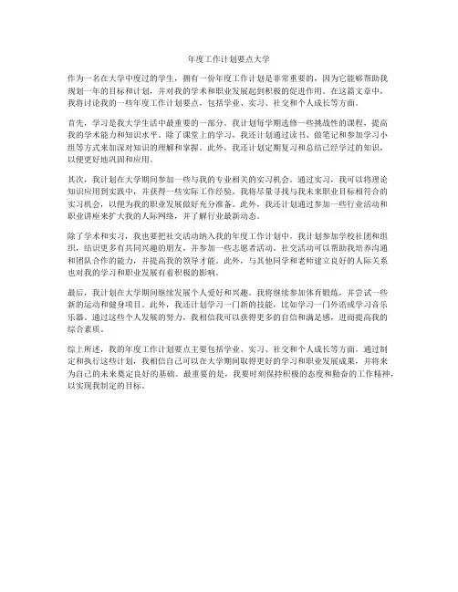 年度工作计划要点大学