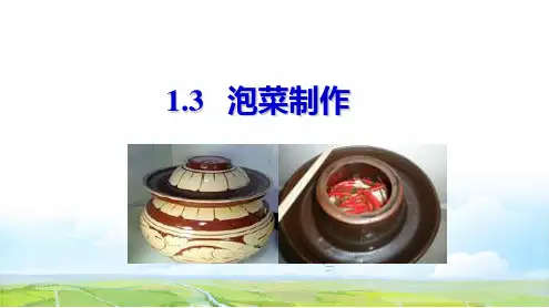 高中生物选修1优质课件 1.3泡菜的制作