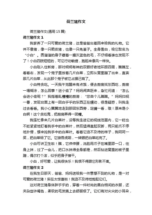荷兰猪作文