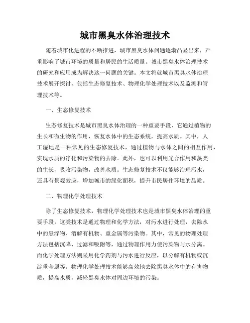 城市黑臭水体治理技术
