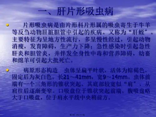 奶牛寄生虫病防治技术