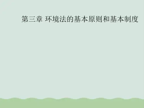 环境法的基本原则和基本制度(ppt 104页)