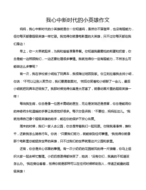 我心中新时代的小英雄作文