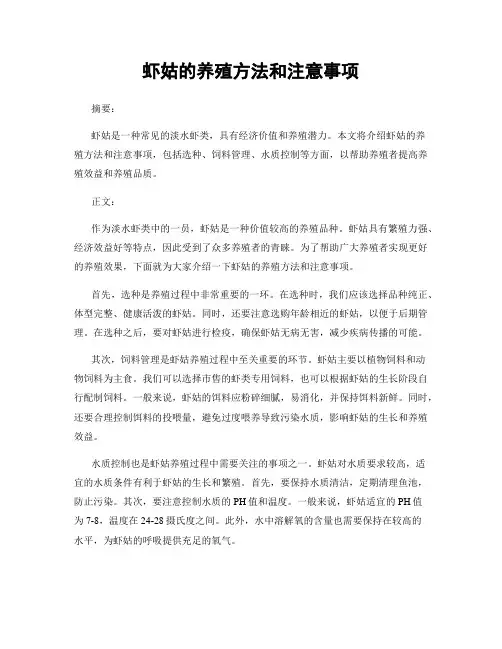 虾姑的养殖方法和注意事项