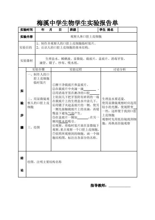 观察人体口腔上皮细胞临时装片 文档