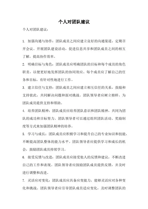 个人对团队建议