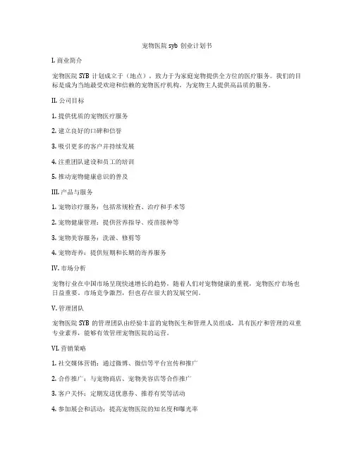 宠物医院syb创业计划书