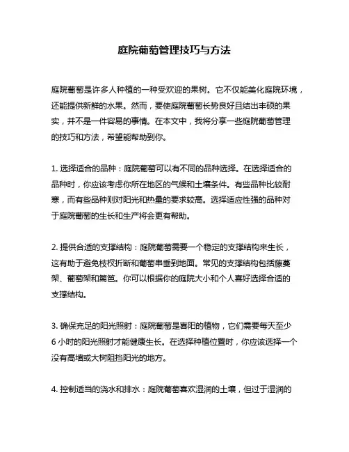 庭院葡萄管理技巧与方法